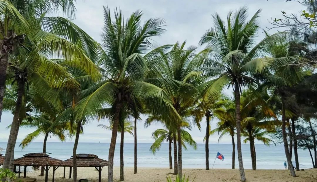 那些被我们忽视的生活小确幸，第3个最治愈